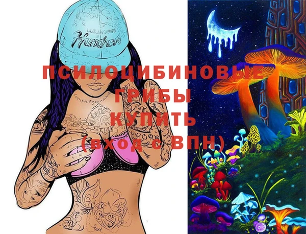 СК Богородицк