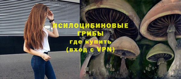 apvp Аркадак