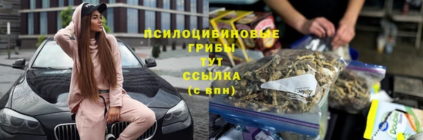твердый Богородск
