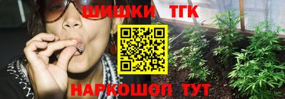 стаф Гусь-Хрустальный