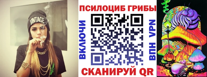 kraken зеркало  Мурманск  Псилоцибиновые грибы Magic Shrooms  где продают  