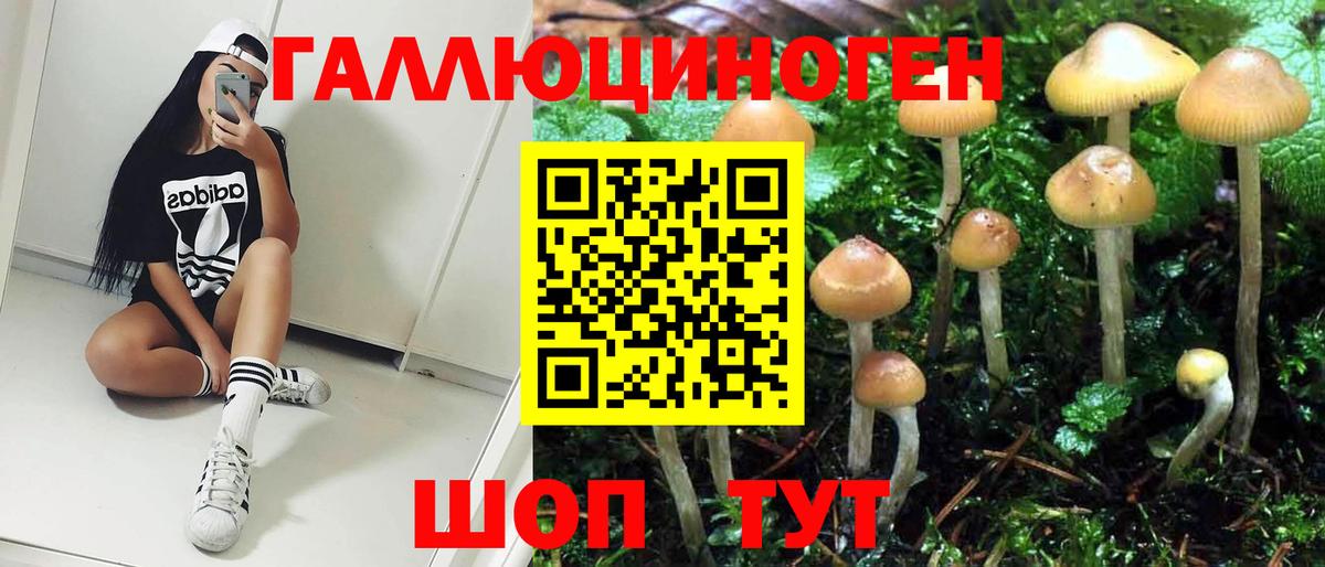 Псилоцибиновые грибы MAGIC MUSHROOMS  Вход с VPN  Галлюциногенные грибы GOLDEN TEACHER  Мурманск 