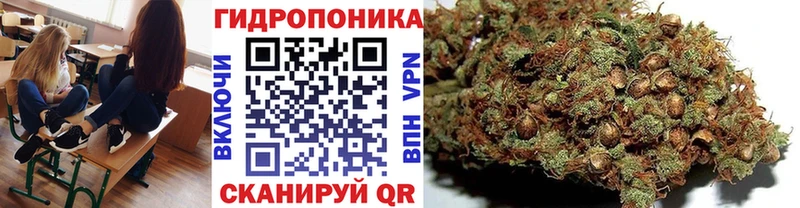 Бошки Шишки гибрид  Мурманск 